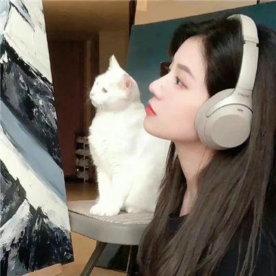 泪王子