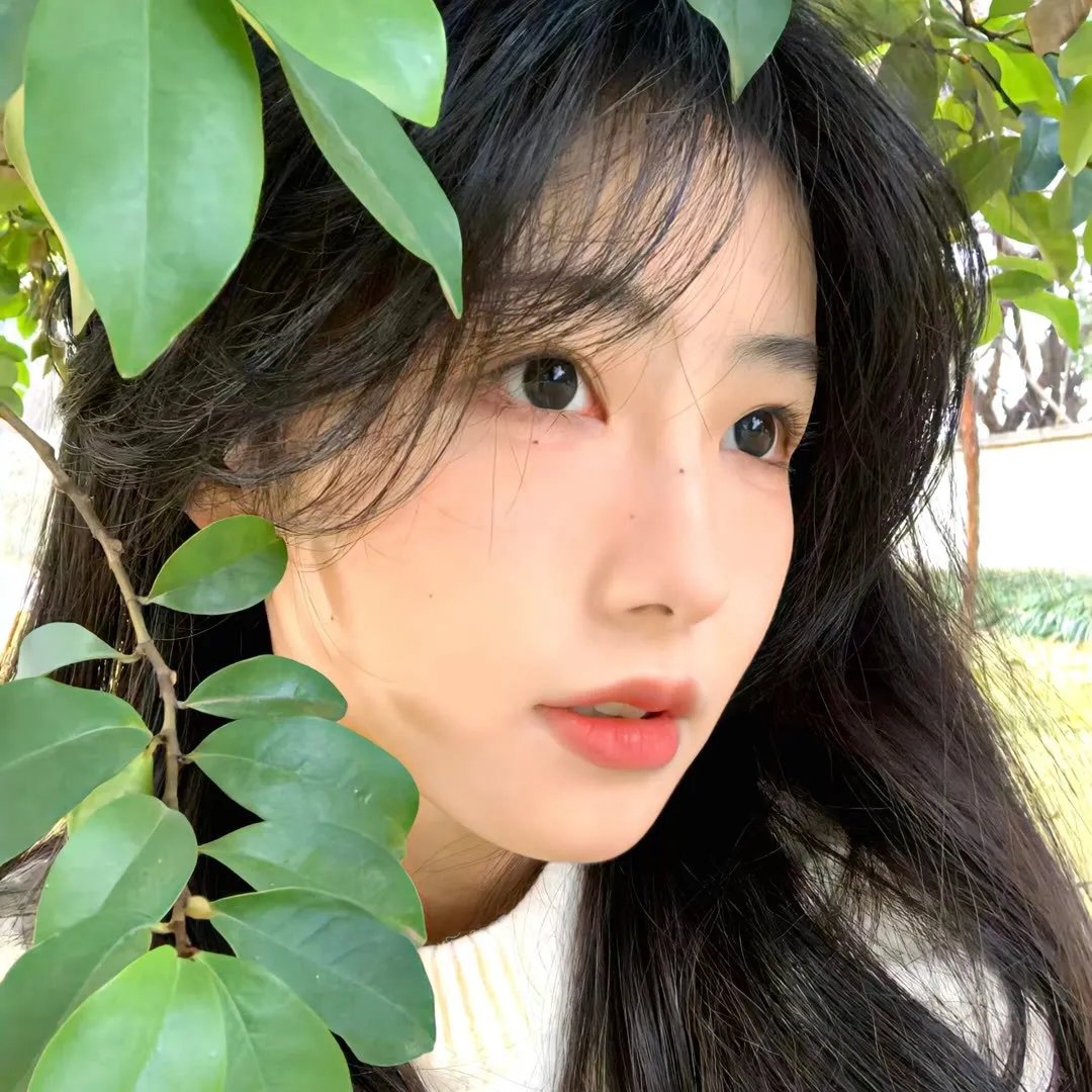 蜃楼谜香