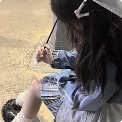 完美伴侣